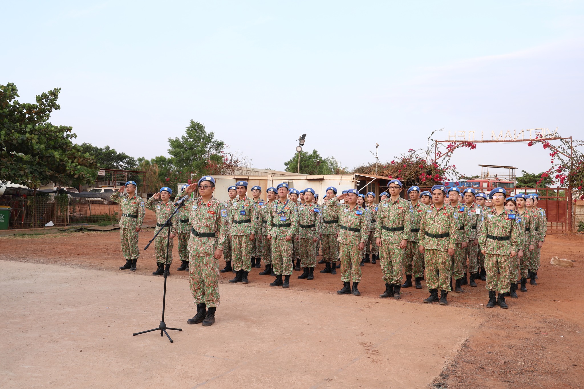 /UploadStore/admin/260304 BVDC chao co thang 3/646150906_1337215311767730_5346999706838157623_n.jpg